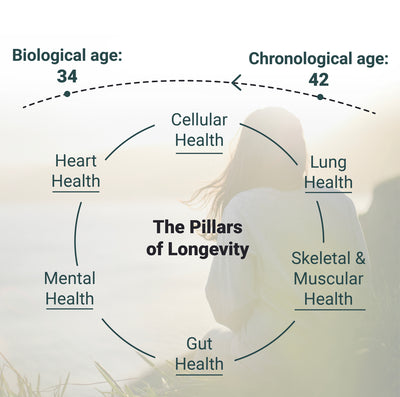 The 6 Pillars of Longevity